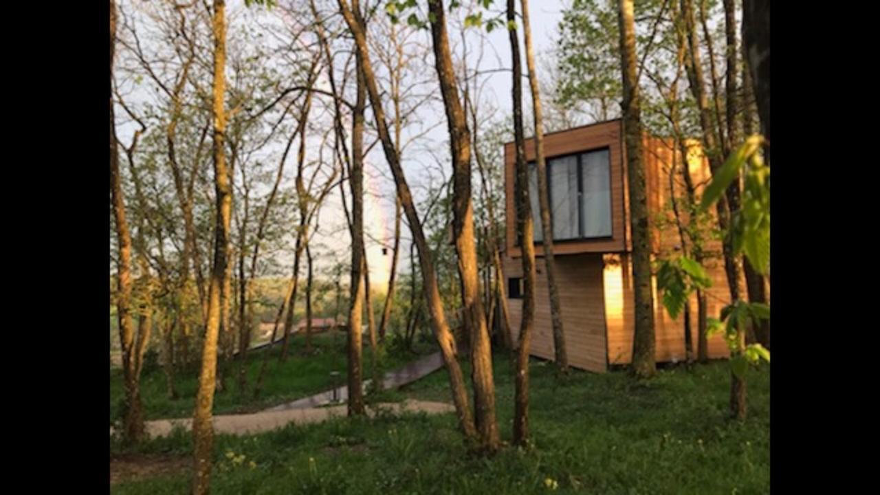 Bed and Breakfast Les Cocons De L'Illon Ville-sur-Illon Exterior foto